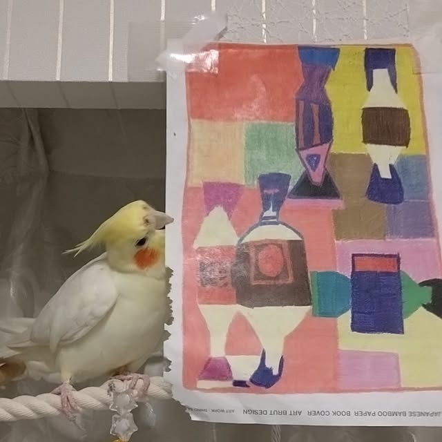toratanさんの部屋