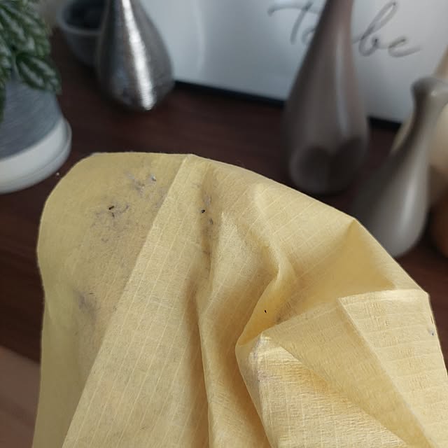 anmomaruさんの部屋