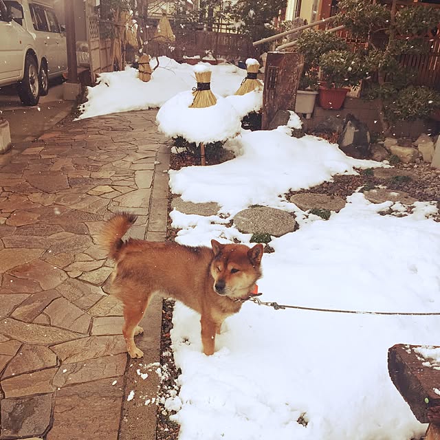 88snowさんの実例写真