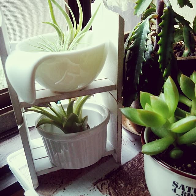 tomokaさんの実例写真