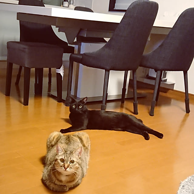 maikyさんの実例写真
