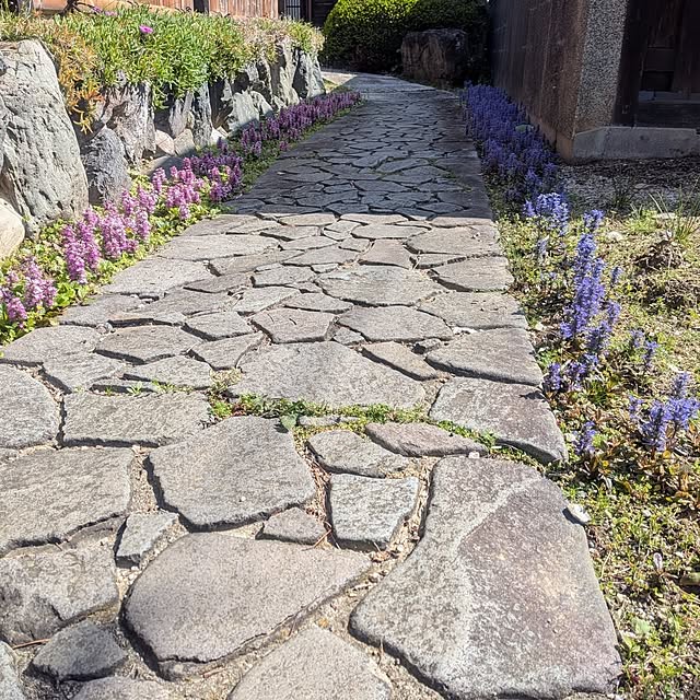 kuririnmamaさんの部屋