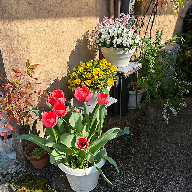 fumikoiさんの部屋