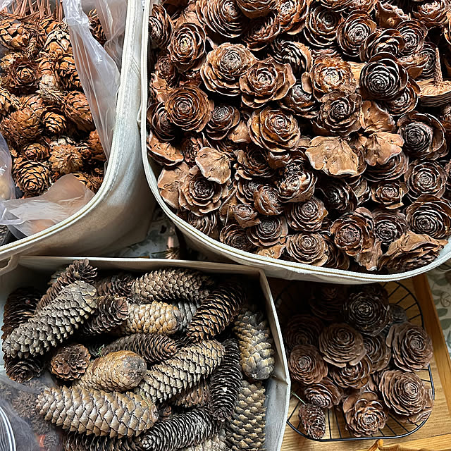 mizucchiさんの部屋