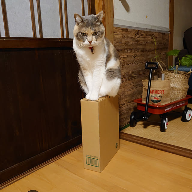 fukuさんの実例写真
