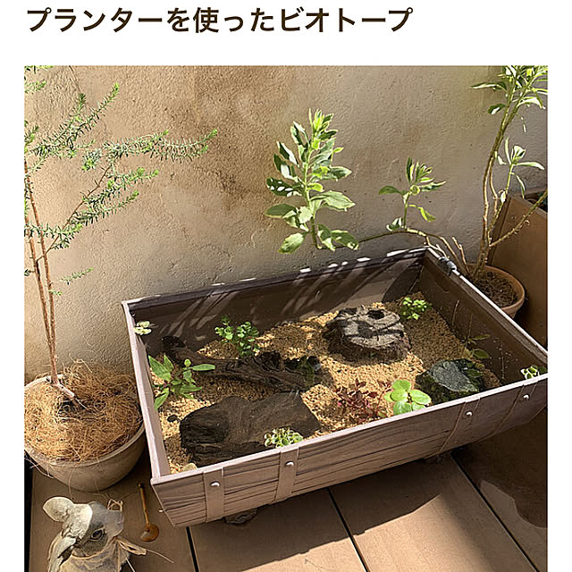tabasaさんの実例写真