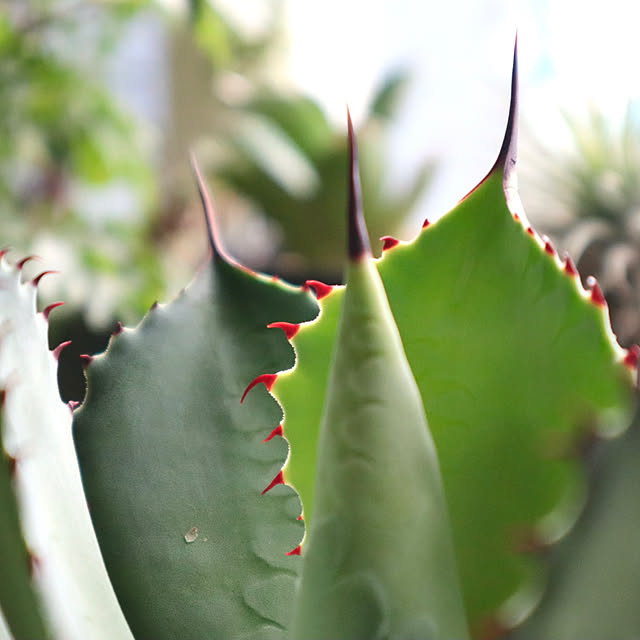 rukakoさんの部屋