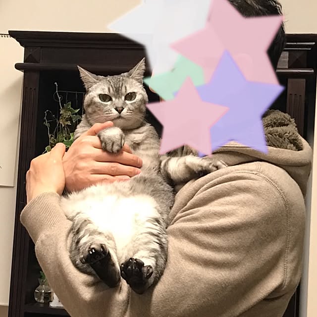 CHIEさんの実例写真