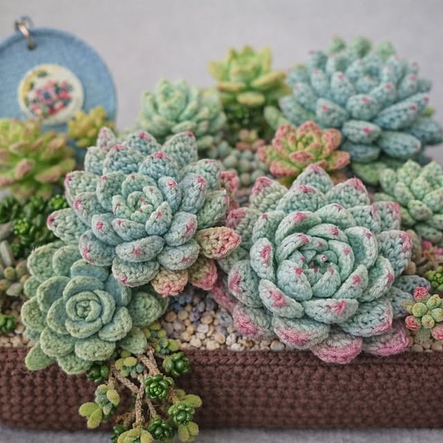 Pikakeさんの部屋