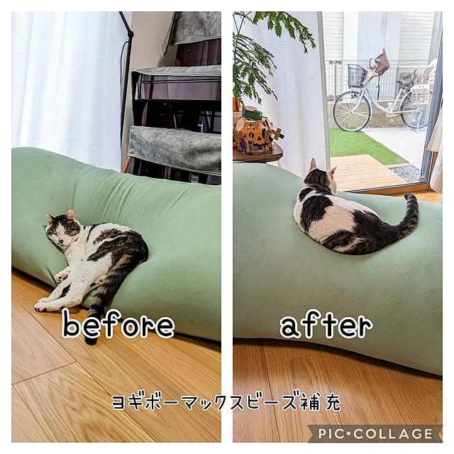 tomatopapaさんの実例写真