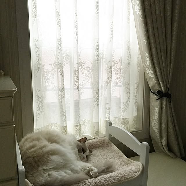 yuchiさんの実例写真