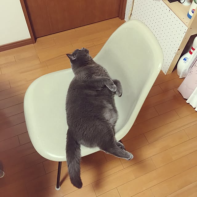 Shojiさんの実例写真