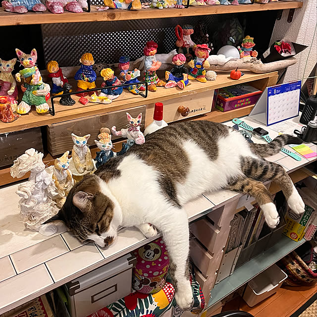 jijiさんの実例写真