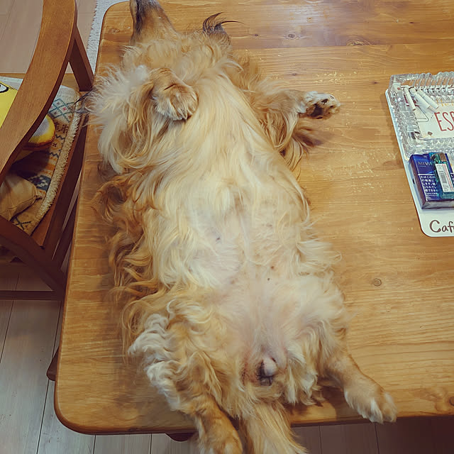 rikachakoさんの実例写真