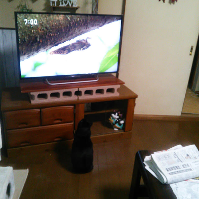 Tomopさんの実例写真