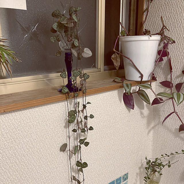 reeさんの実例写真