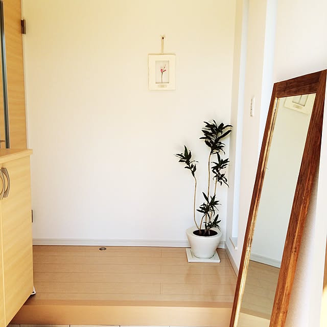 marucoさんの実例写真