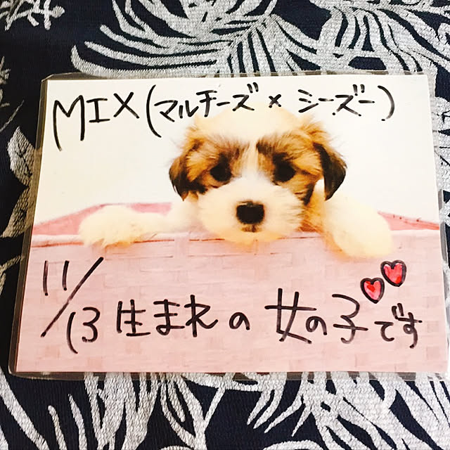 emiさんの実例写真