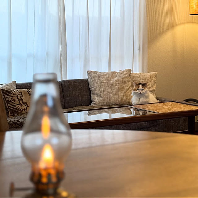 chulashihoさんの部屋