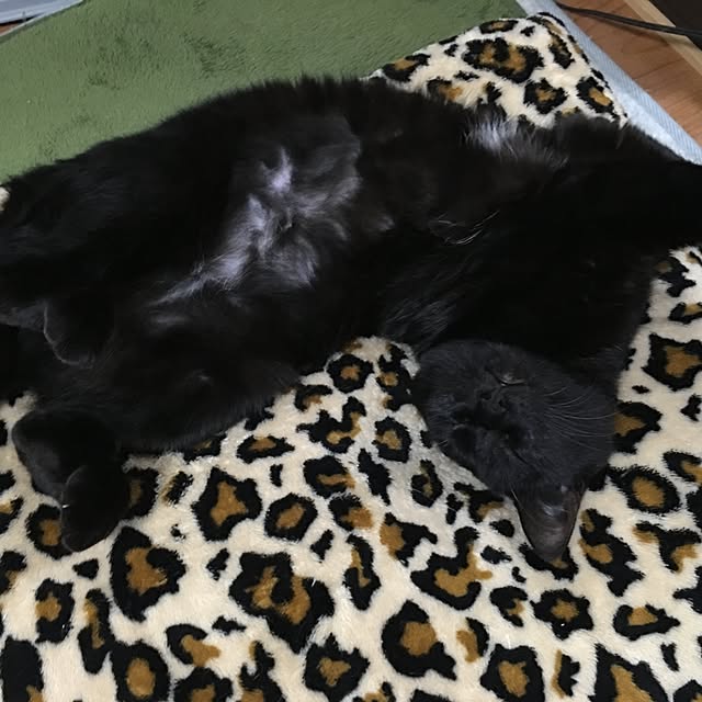 kotetuさんの実例写真