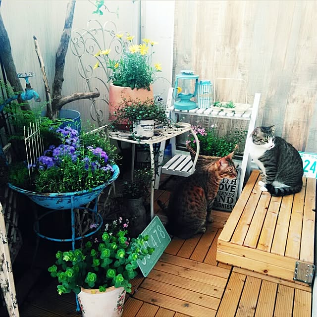 Rabbitさんの実例写真