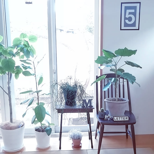 tirolさんの実例写真