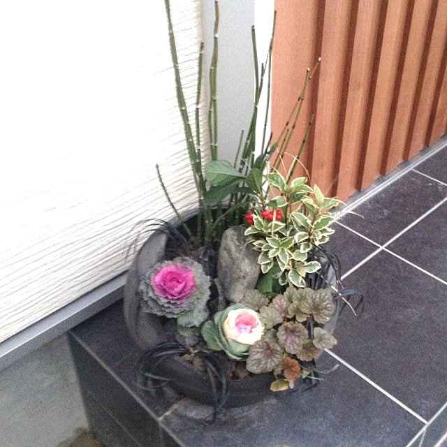 Kenroさんの実例写真