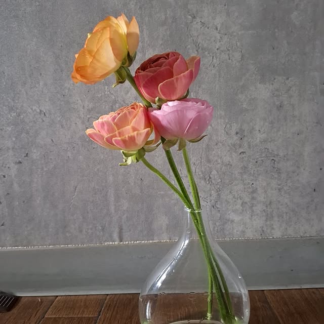 noaさんの部屋