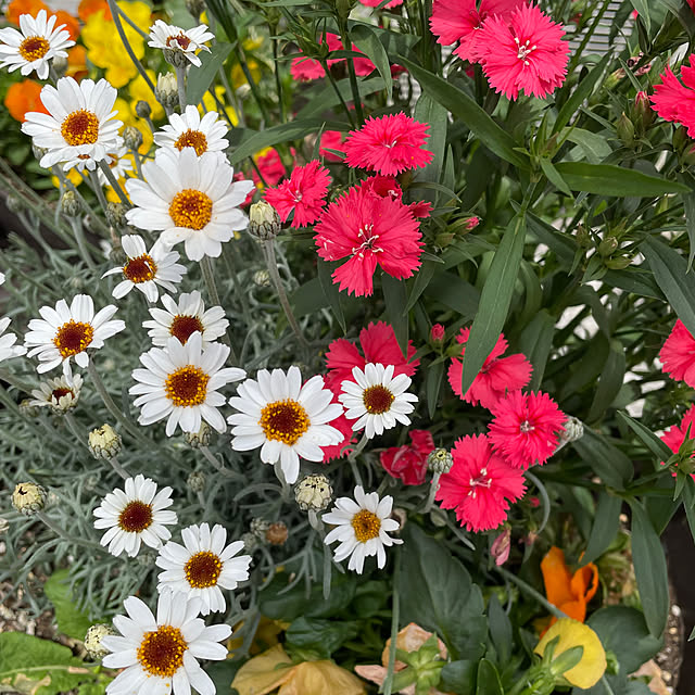 namecoさんの部屋