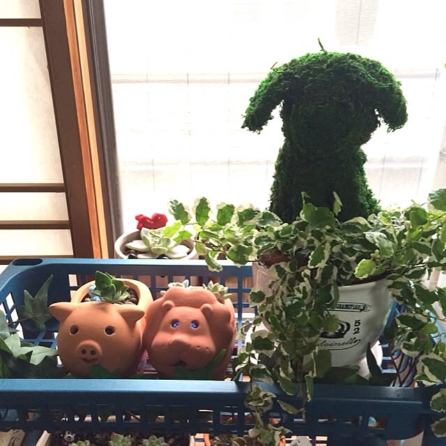 mapiさんの実例写真