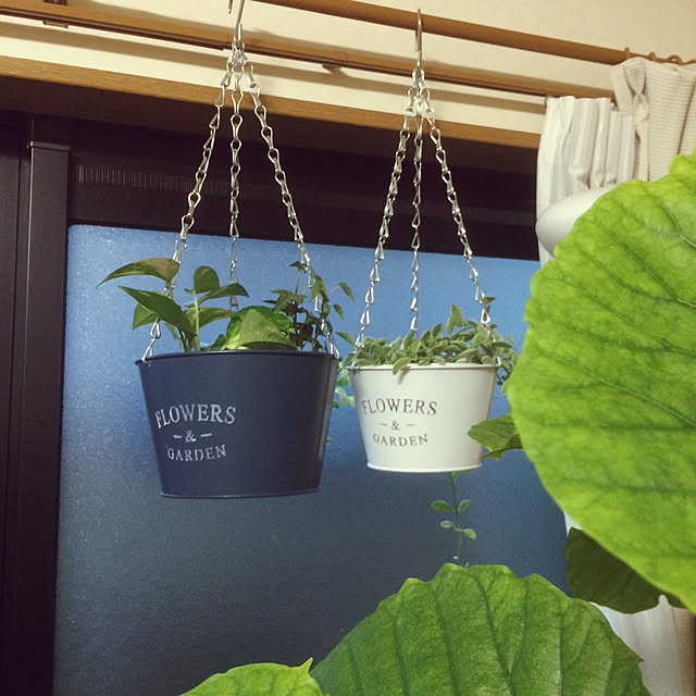 yukaさんの実例写真