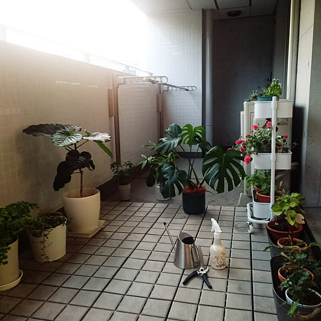 実例写真