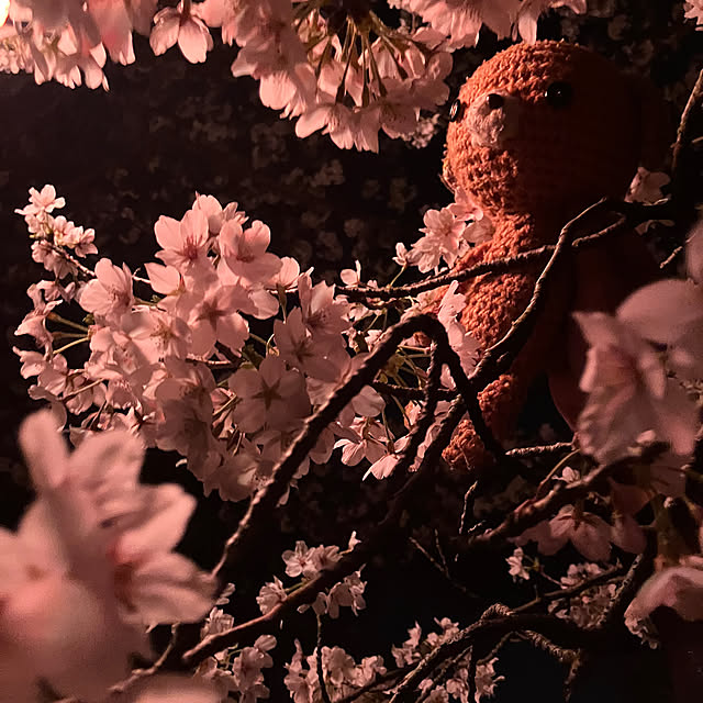 manduonmaさんの部屋