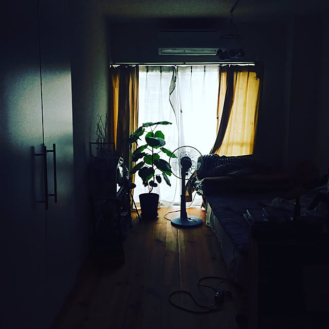 nikiさんの実例写真