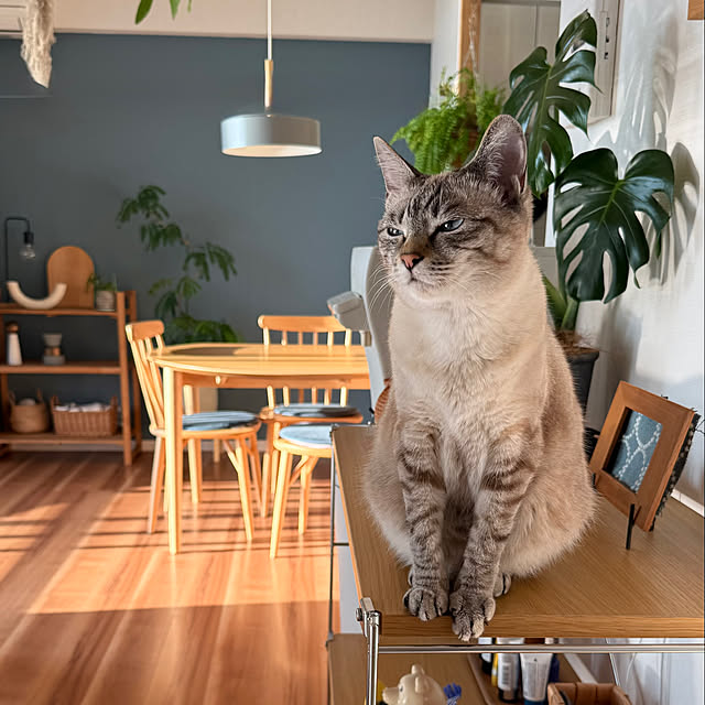 amさんの部屋