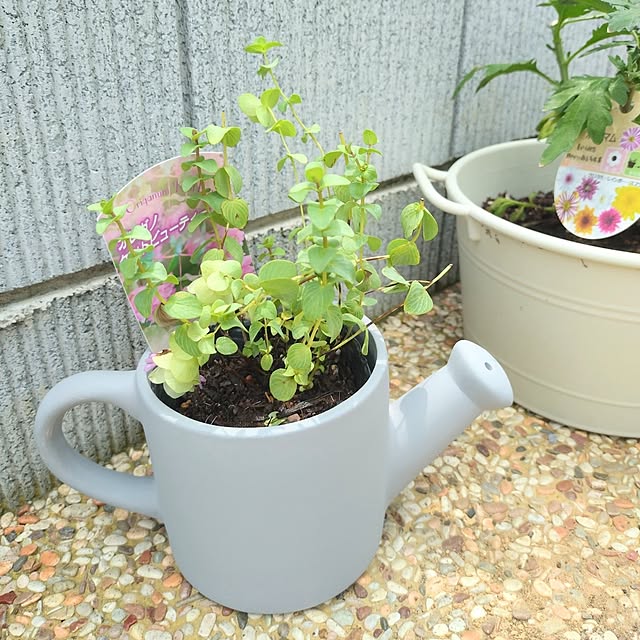 ieteriorさんの実例写真