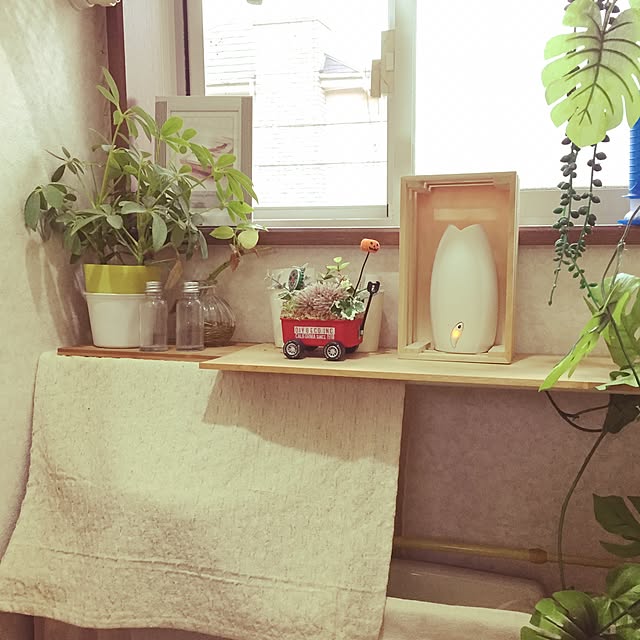 miki7895さんの実例写真