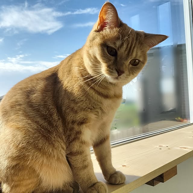 ayumiさんの部屋