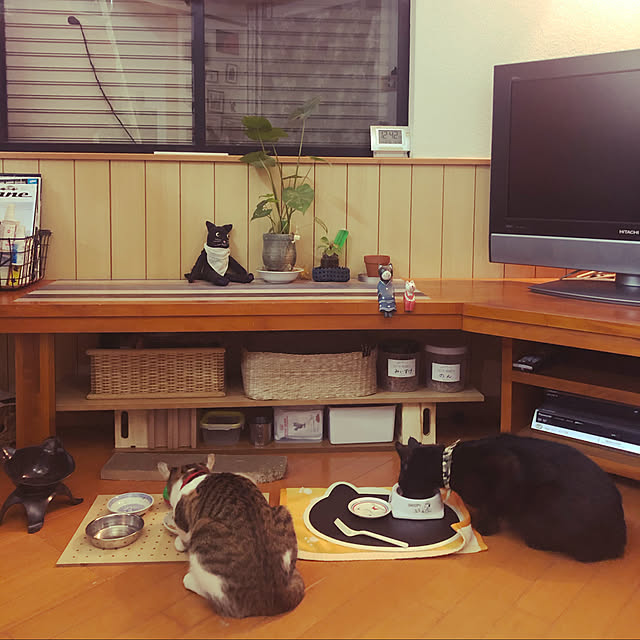 jijiさんの実例写真