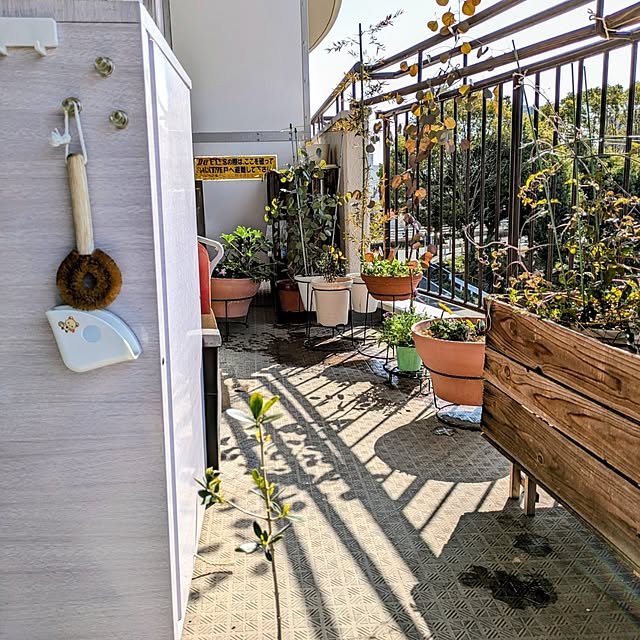 mi-saさんの部屋