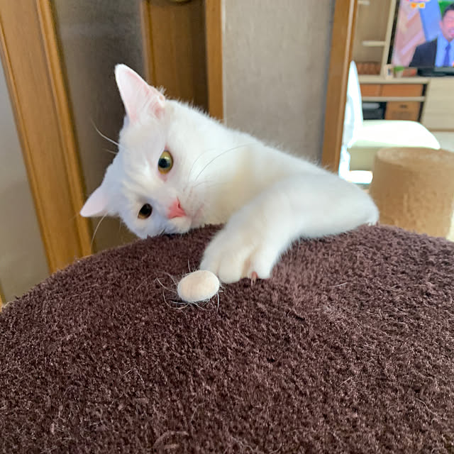 keiさんの実例写真