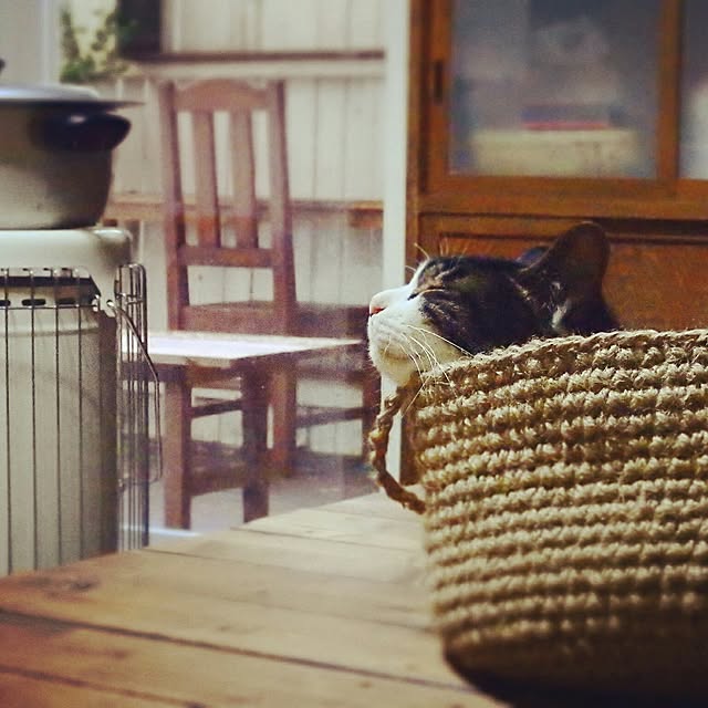 yukiさんの実例写真