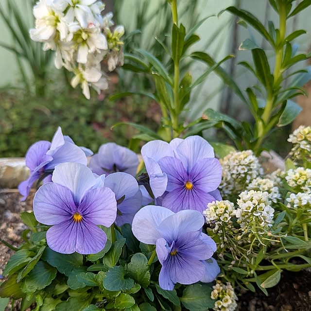 Rさんの実例写真