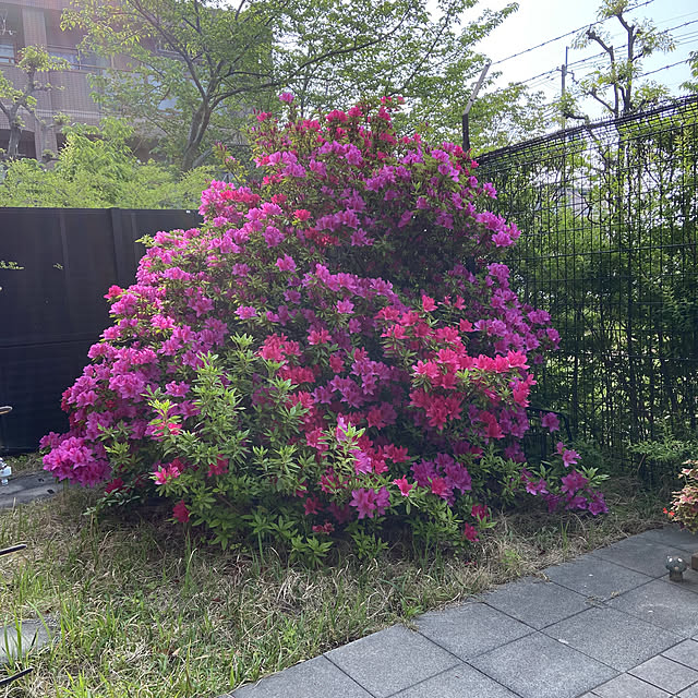 部屋全体のインテリア実例 - 2022-04-23 07:36:25