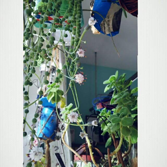 bousuke.215112さんの実例写真