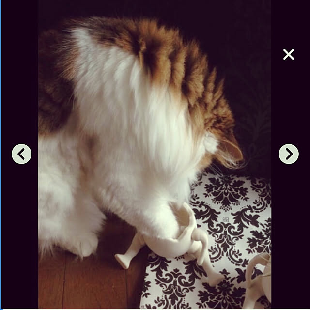 uraraさんの実例写真