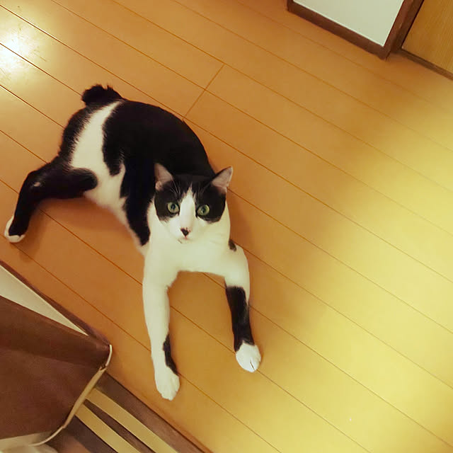 oseroさんの実例写真