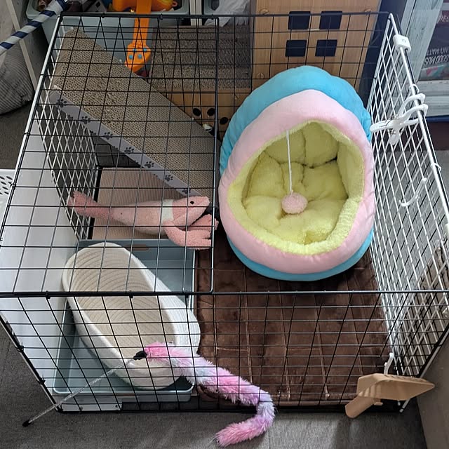 sayaさんの実例写真