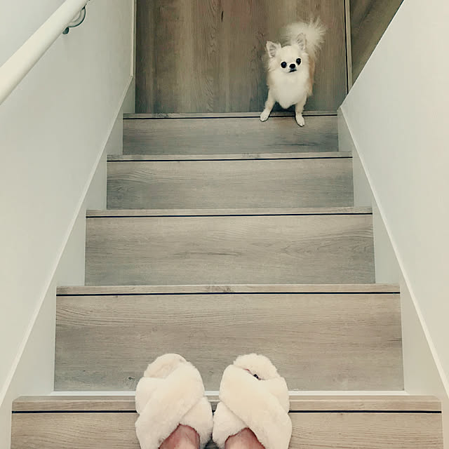 Mihocoさんの実例写真