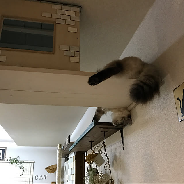 kazaneさんの実例写真
